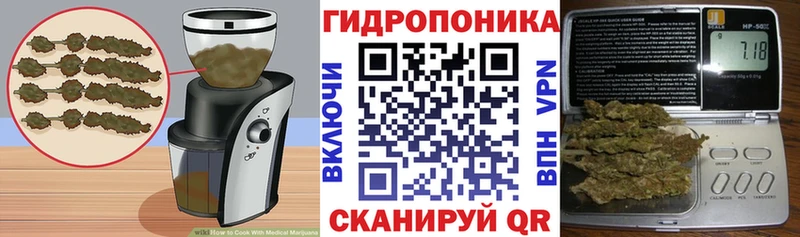 Canna-Cookies марихуана  как найти закладки  Красный Холм 